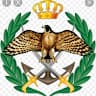 محبي المخابرات الاردنيه