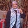 Shahed Flifel