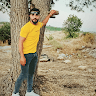 ربيع شويطر