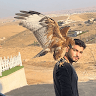 لاو؟!