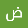 ضياء ابو الخير