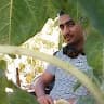 Baha Shawaheen