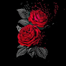Suha sayes