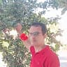 مقداد عمري