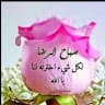 محمد خلاوي