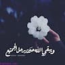 Alaa Talt