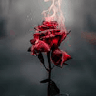 ADOOD GHONMY