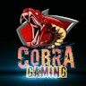COBRA_GSG
