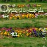Alaa Alsawair