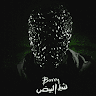 عبدالله القواسمي
