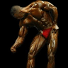 Waleed Zuhd
